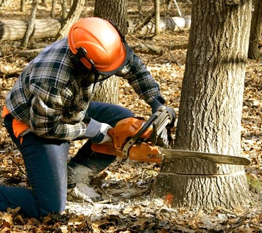 Tree Removal in Granite, OK